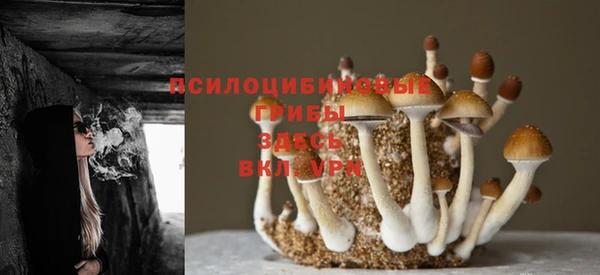 меф Зеленодольск