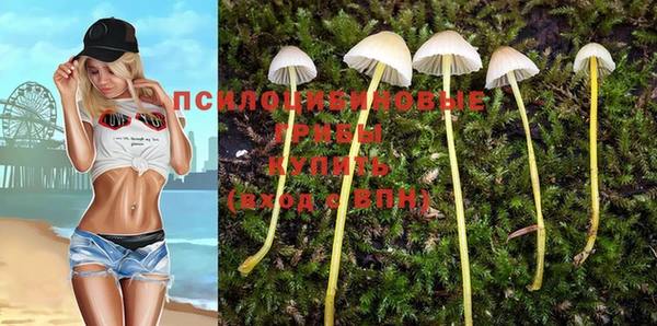 СК Зерноград
