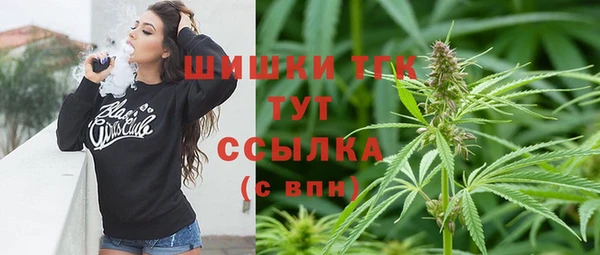 СК Зерноград