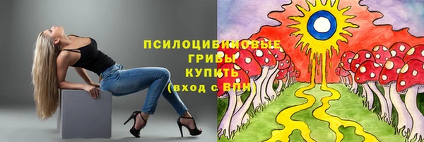 СК Зерноград