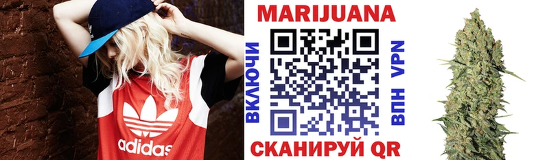 Конопля семена Кингисепп